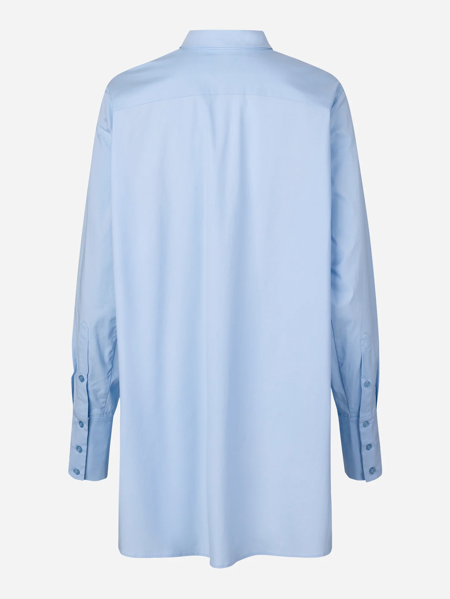 FALCON - BLUE - Image 5
